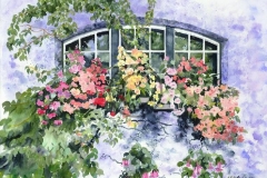 Garden Window