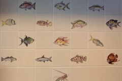 Ceramic Tiles - Fish