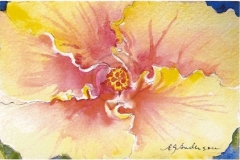 Yellow Hibiscus II